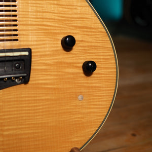 Ibanez AE 200 1989 Japan – wurst.guitars