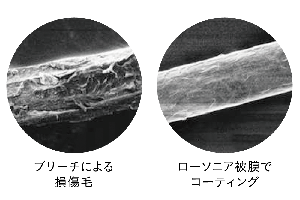 木木と – ウィンライフ・ジャパン株式会社