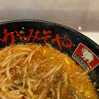 濃厚辛味噌ラーメン からみそや（沼津南口・沼津港・沼津南/味噌
