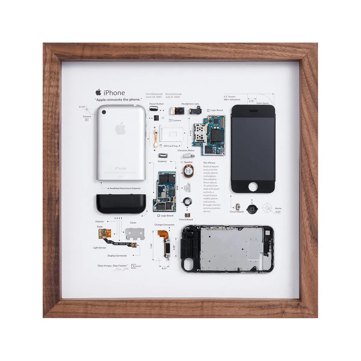 Xreart iPhone 2G (1st Generation) Teardown Creative Wall Decor