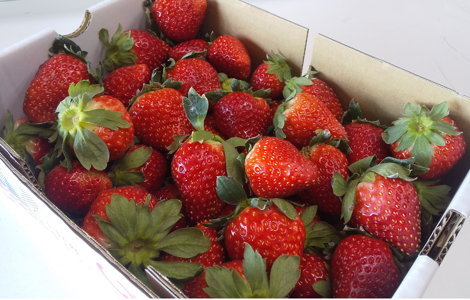 いちごの販売 通販 あまりん - 横田農園（埼玉県吉見町）