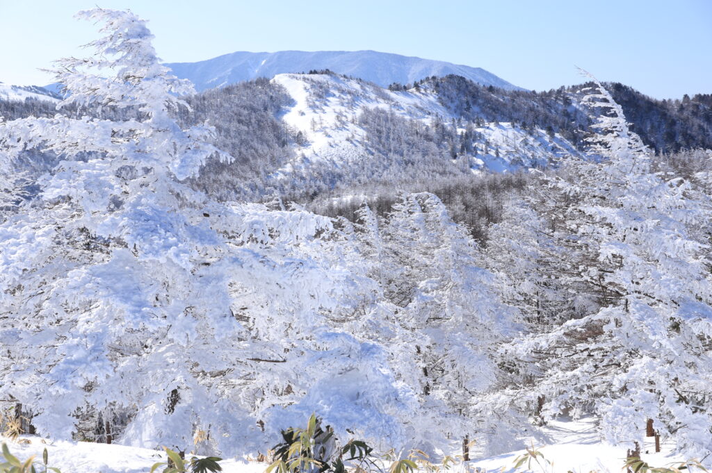 恵那山・神坂峠ルートで楽しむ登山 南アルプスと中央アルプスを一望