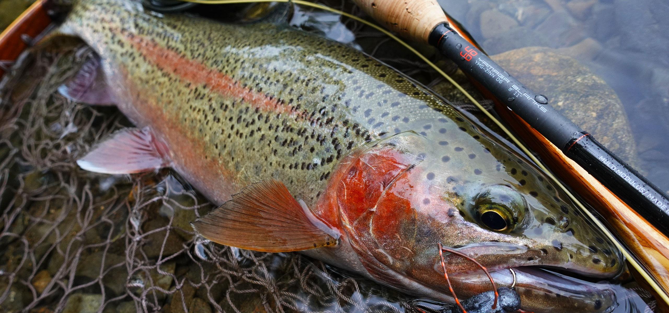 ZINN for FRESHWATER - ヤマガブランクス FLYサイト