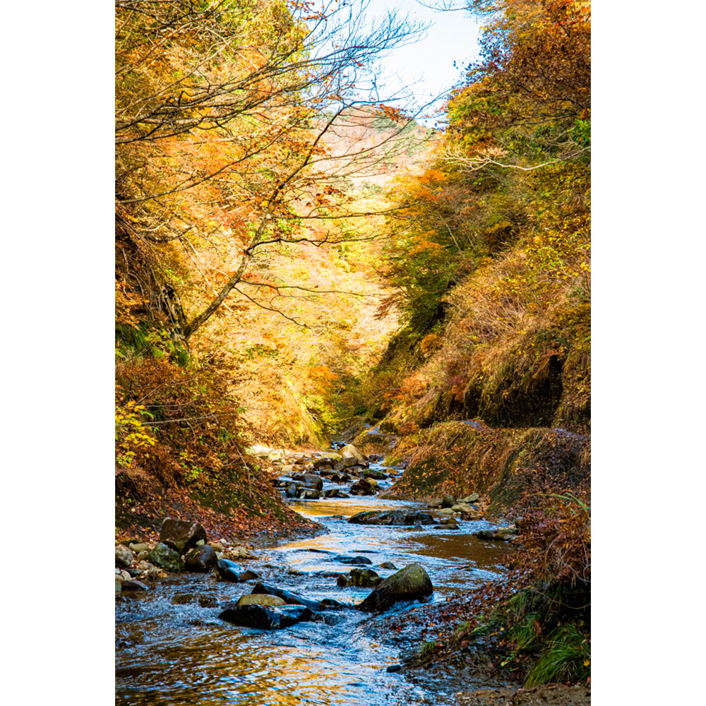 スリルと佳景を満喫する「紅葉川渓谷」| 山形会議