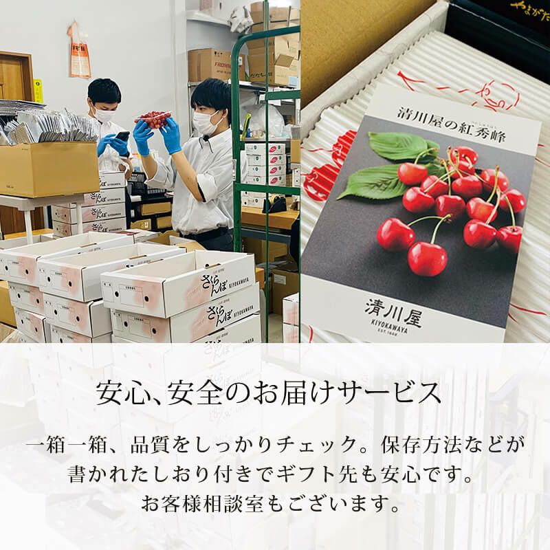 元祖佐藤錦 最高級 名人詰め Lサイズ 1.2kg 山形さくらんぼ佐藤錦発祥