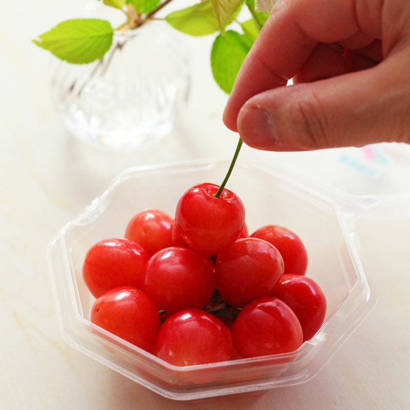 温室そだち 佐藤錦 さくらんぼ L 100g×2パック 4月下旬～5月初旬お届け