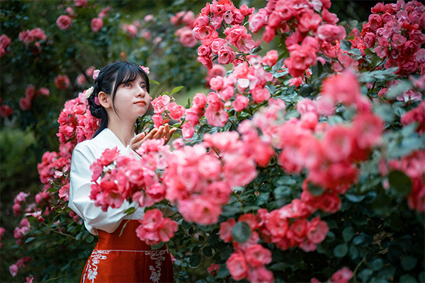 里山ローズ 2025｜イベント｜【公式】山口県観光/旅行サイト おいで