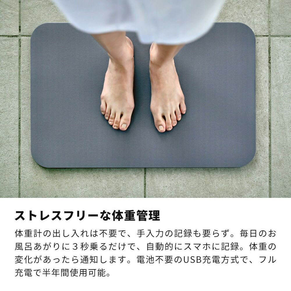 issin 取替用ソフト珪藻土マット | ヤマソロ公式