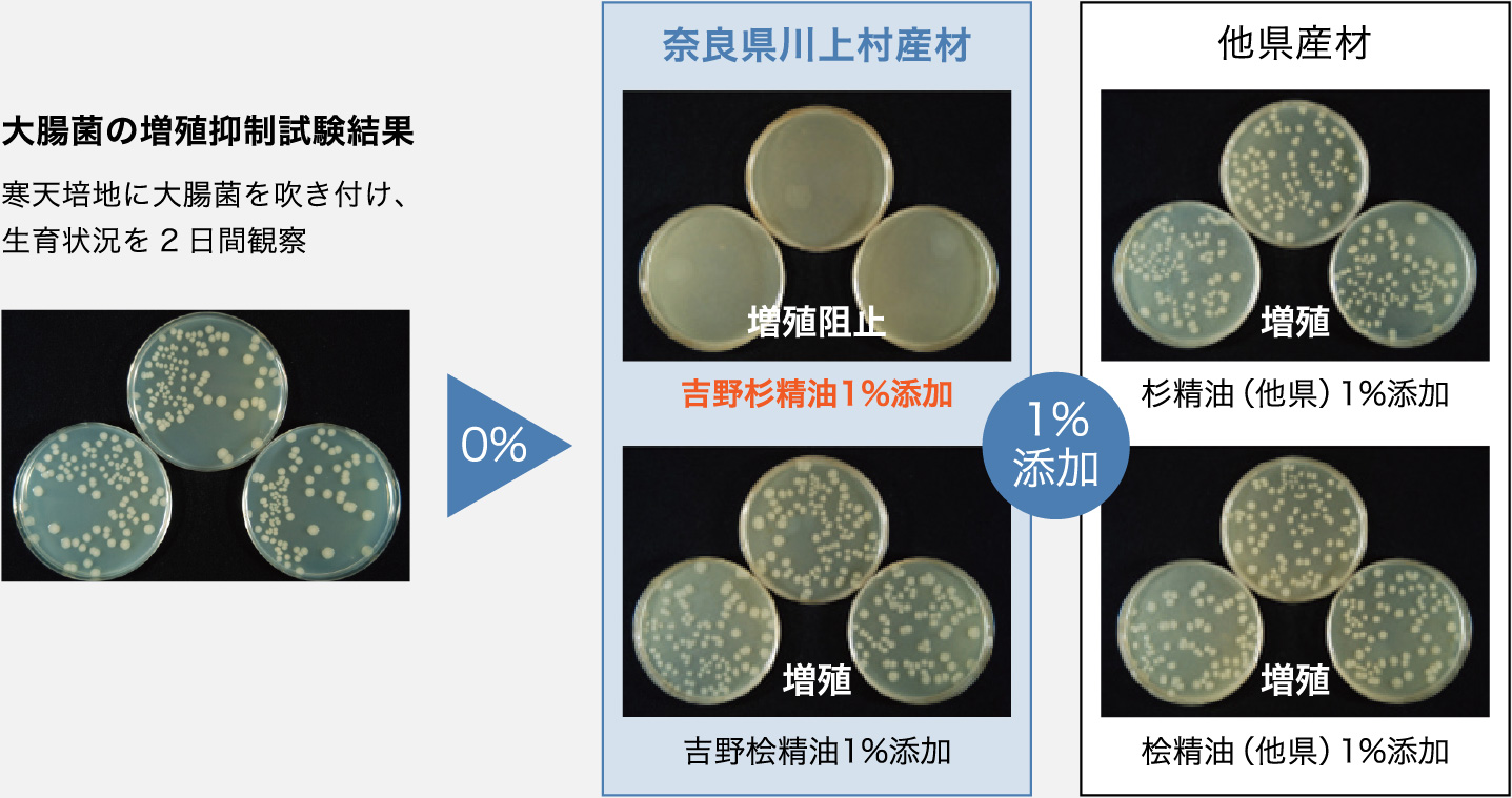 内装建材 吉野杉木口スリット（性能・特長） - 株式会社吉野かわかみ