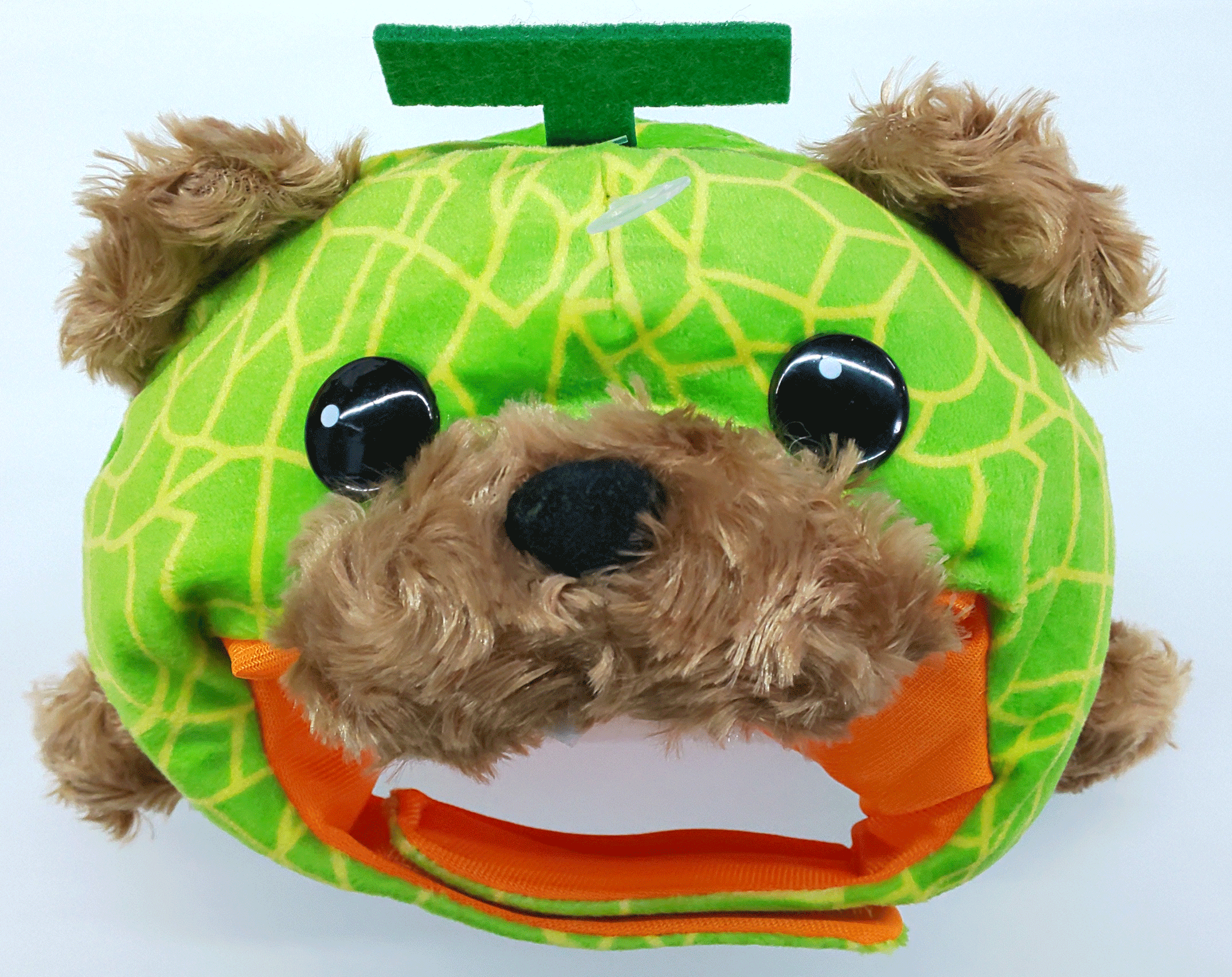 メロン熊 かぶり帽 ペット用 M