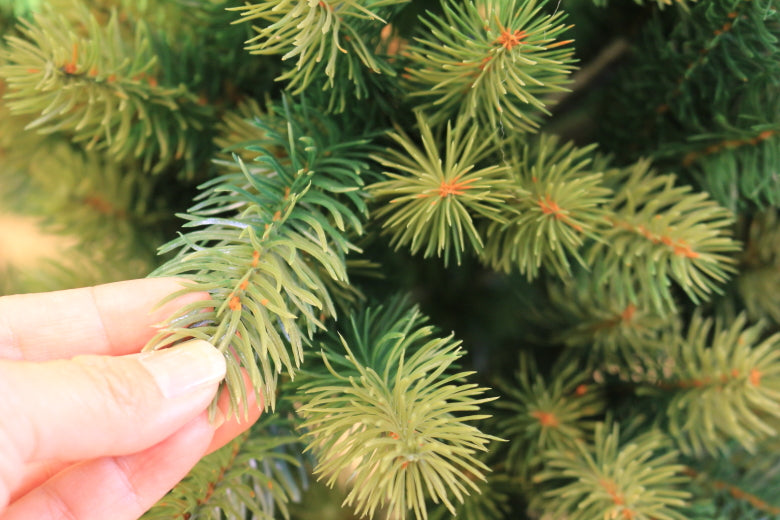 シュヴァルツヴァルトツリー195cm クリスマスツリー 195cm RS