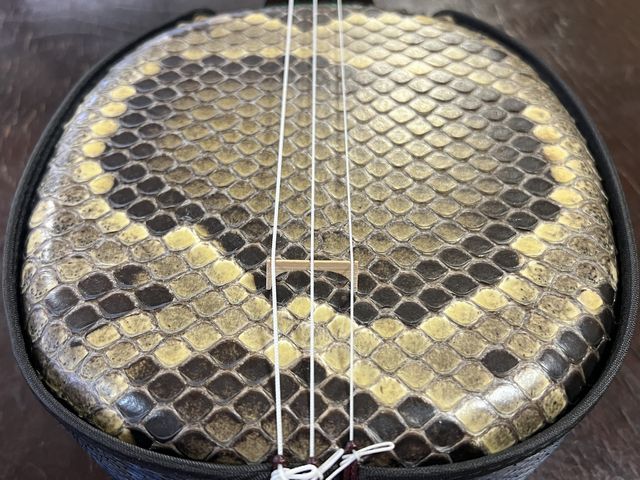 三線の皮の種類の話 | ゆくい三線サークル