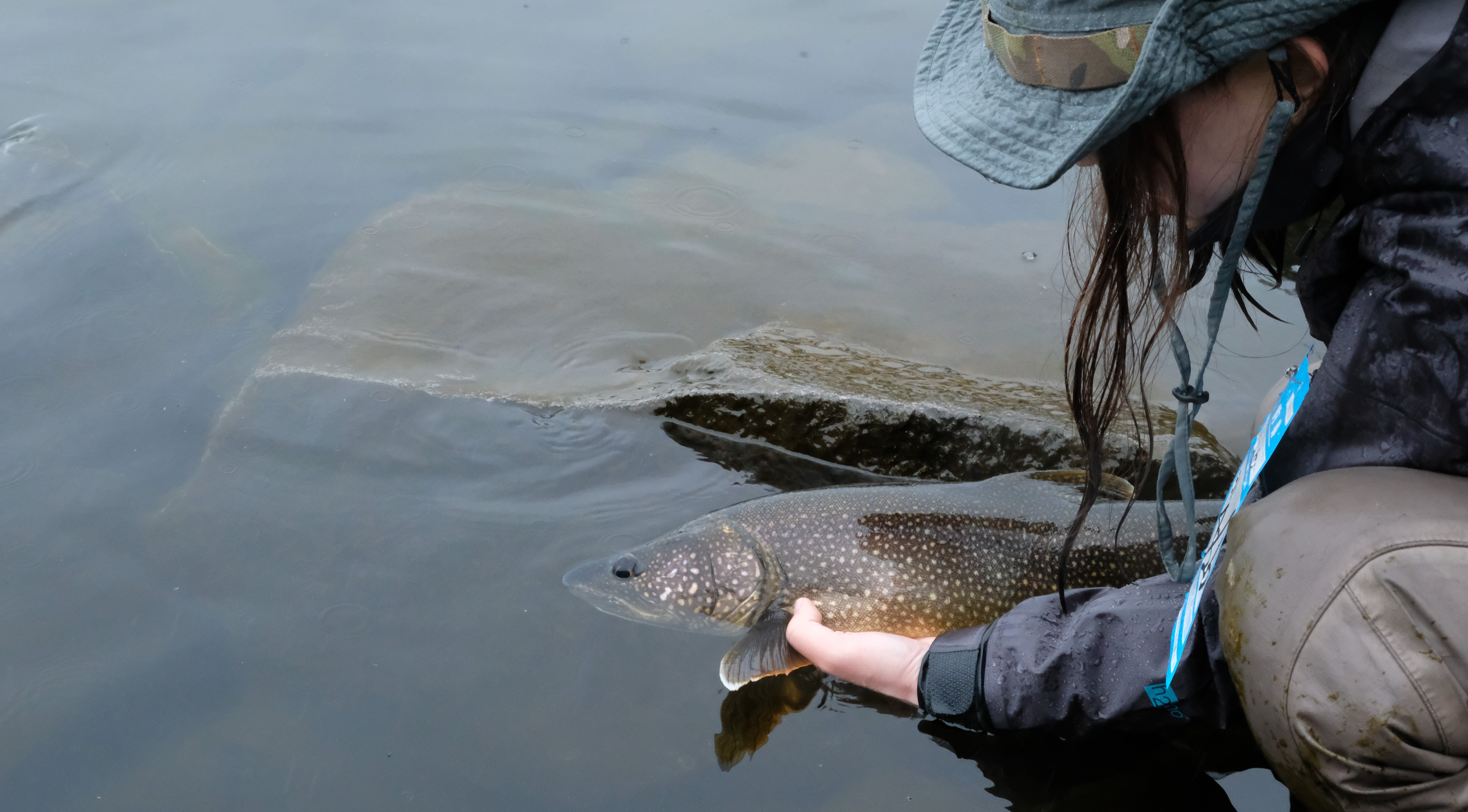中禅寺湖のレイクトラウトと、朝焼けのいろは坂 – YUKIHARANOWORKS