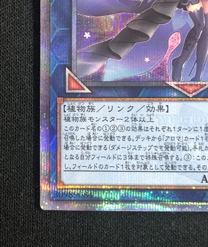 アロマリリス-ローズマリー 25thシークレットレア - 遊楽舎 通販サイト