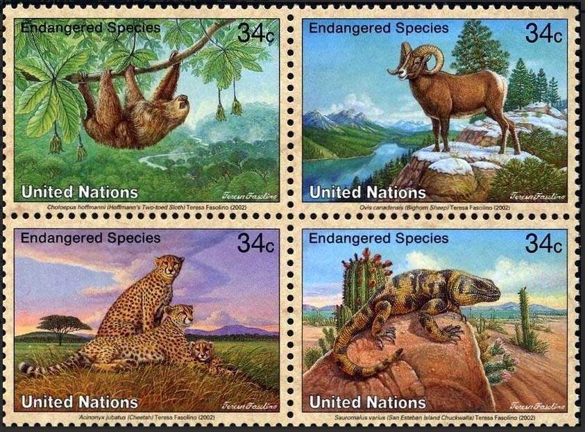 ピトケアン諸島切手 1995年 鳥 タヒチヨシキリ 他入荷しました!