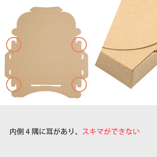 ZAP 差込み式メール便ケース クロネコDM便 ゆうパケットA5サイズ