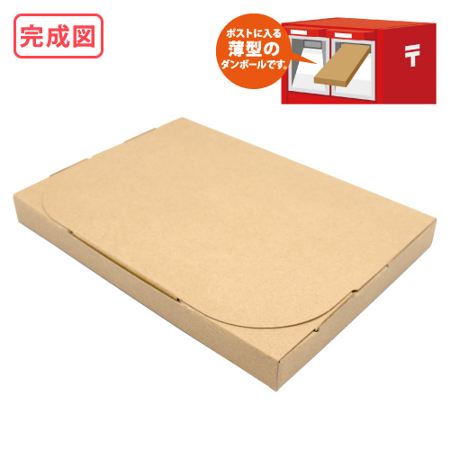 ZAP 差込み式メール便ケース クロネコDM便 ゆうパケットA5サイズ