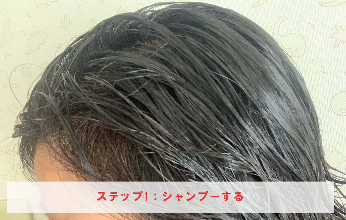 Emerire（エメリル）ブラックデュアルトリートメント（ブラトリ）で