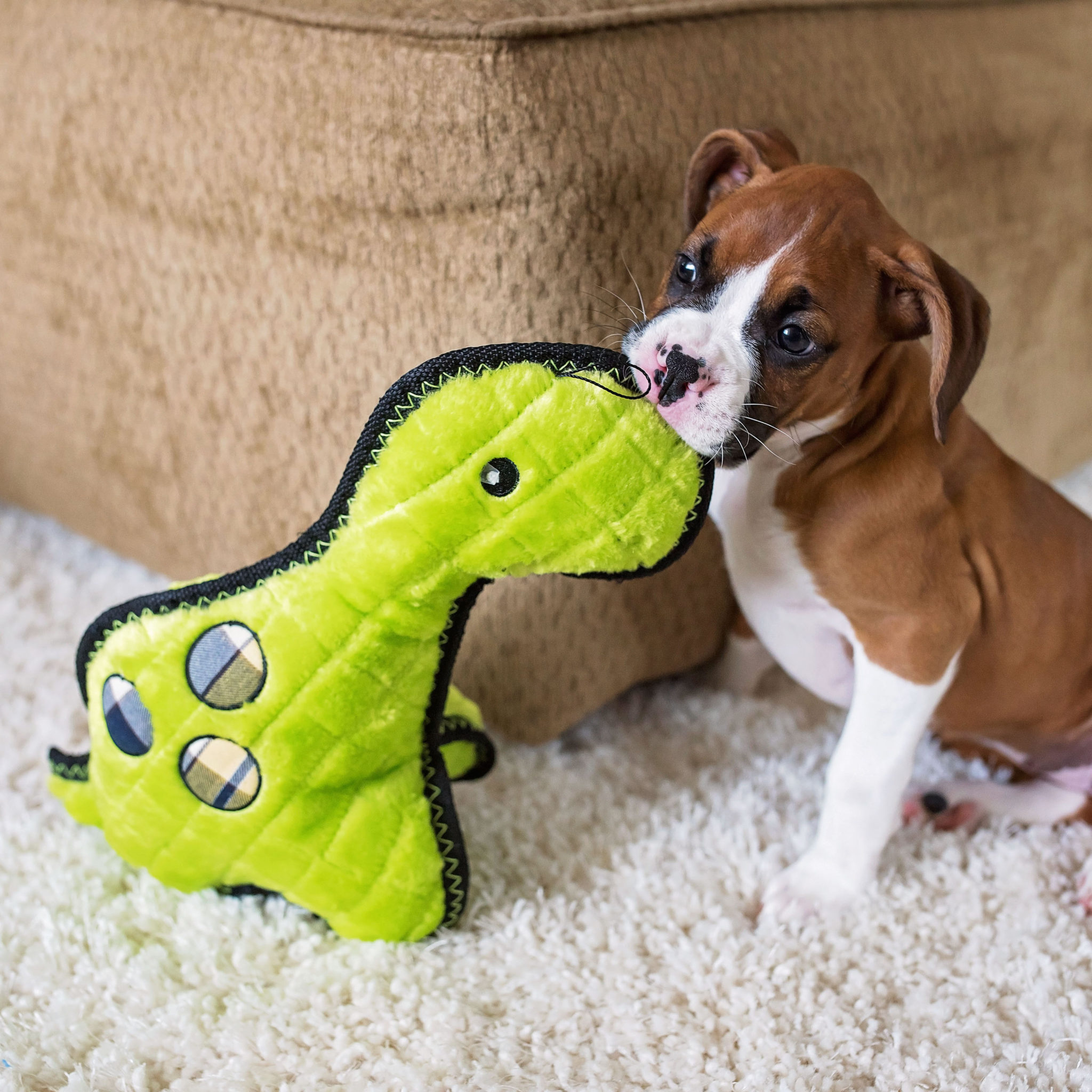 Z-Stitch® Grunterz Dinosaur | ZippyPaws | ZippyPaws