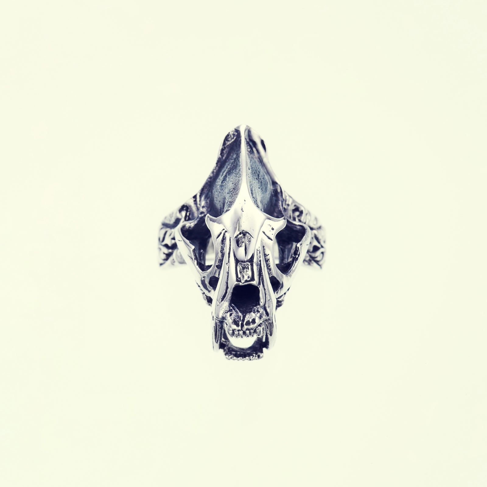 Saber Toothed Tiger Ring (S)｜サーベルタイガー・リング（S