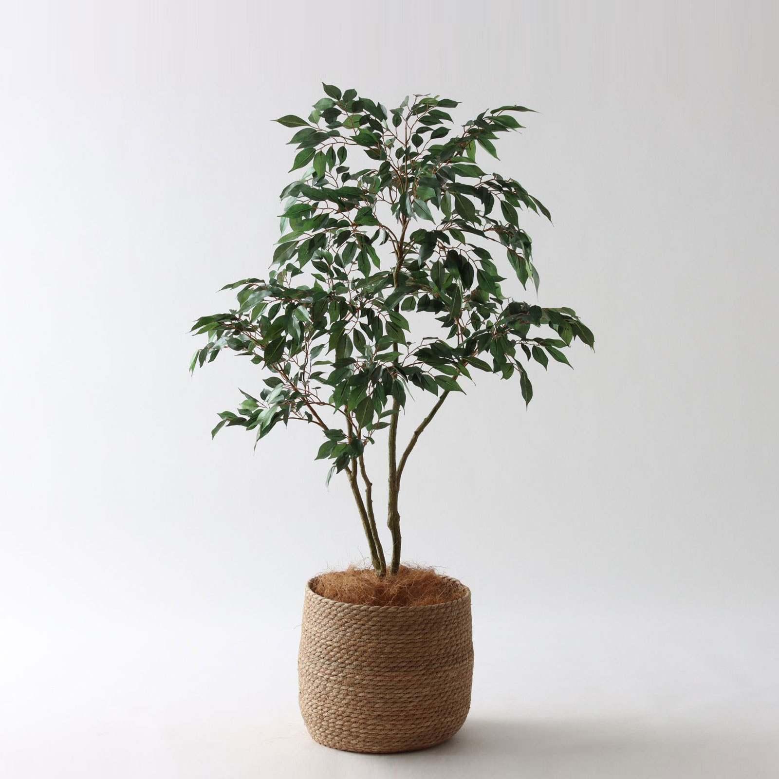 No8414 プレミアム光触媒フェイクグリーン 「軽やかな枝ぶり × 豊かな