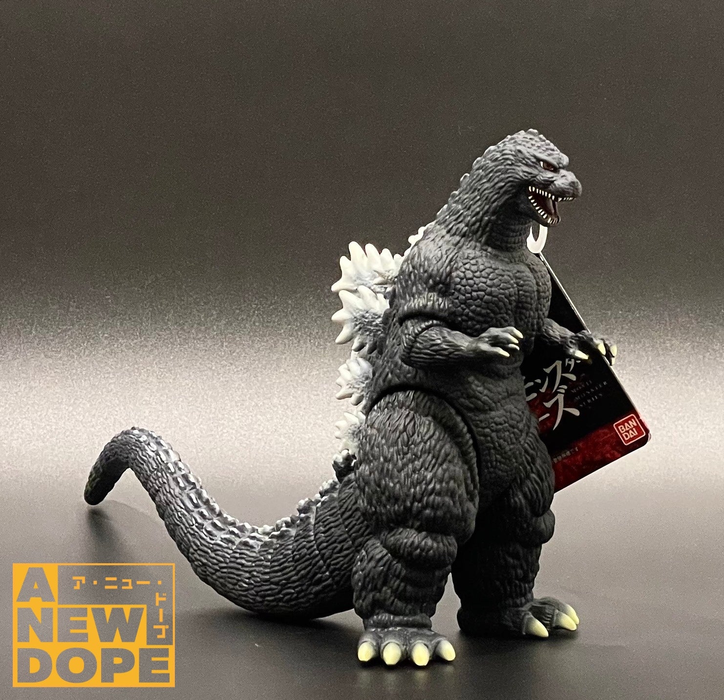 LINE_ALBUM_AND__250131_9.jpg?v