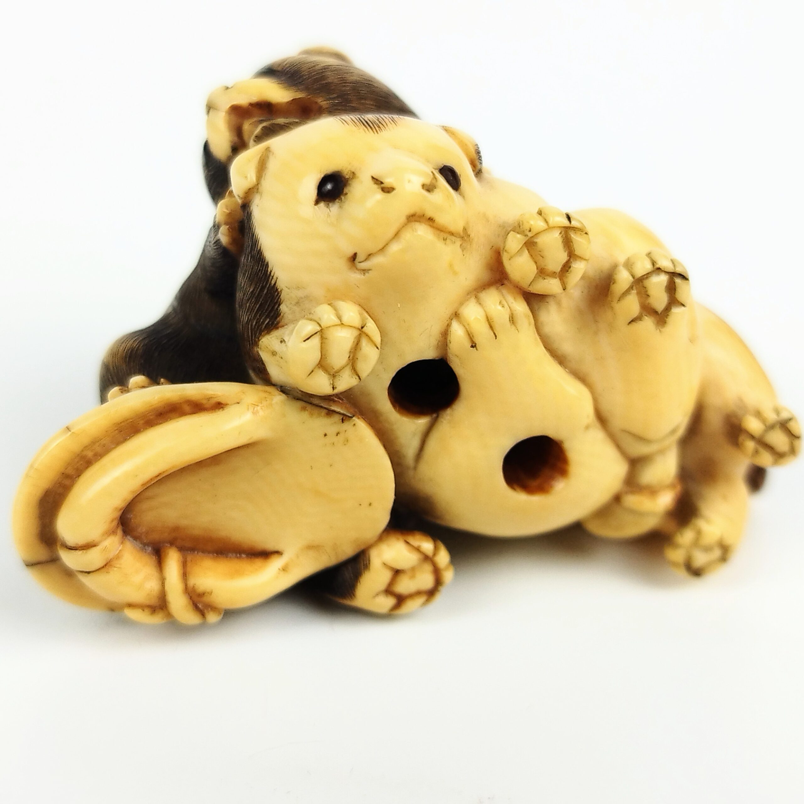 牙彫り根付 犬 – 古美術西川