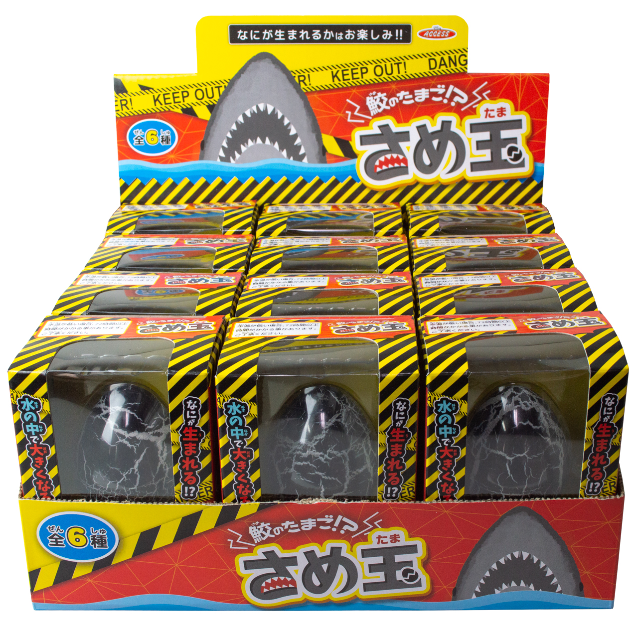 鮫のたまご さめ玉（全6種） – 株式会社ザ・アクセス-TheACCESS-