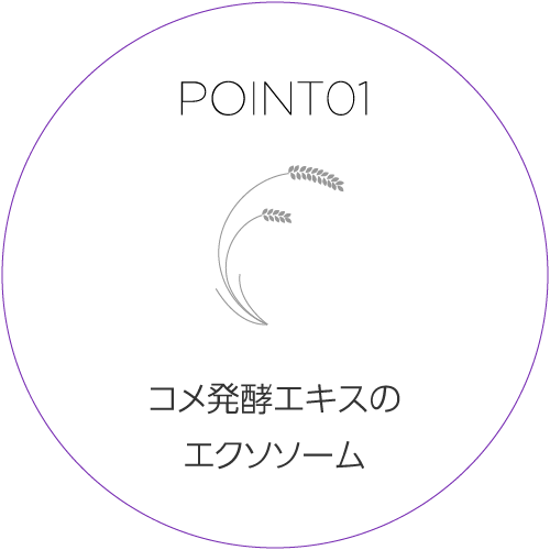 通販】exo PARTICLE エクソパーティクル エクソソーム ｜ ACE CLINIC