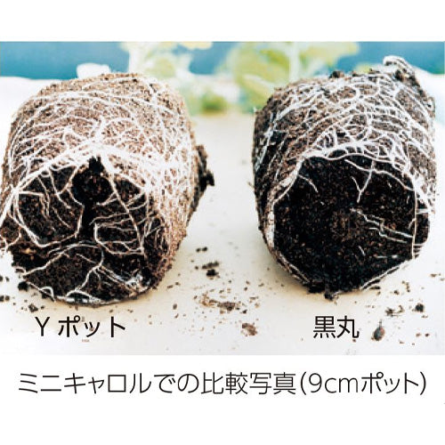 サカタのタネ Yポット ｜農業メッシュネット・農業資材の専門店