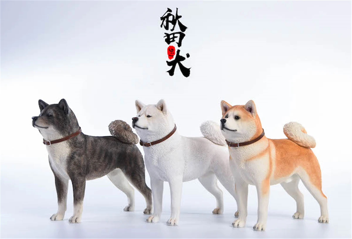 ZXK 1:6 スケール日本の秋田犬ペットフィギュア癒し動物コレクター