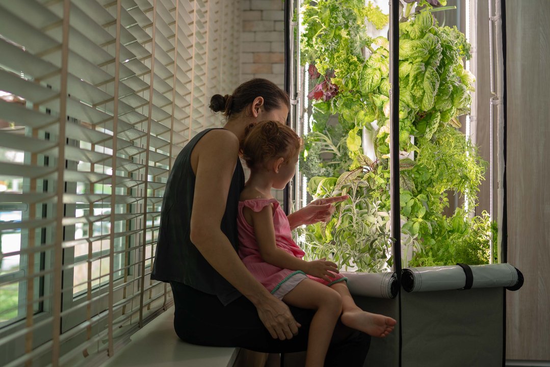 噴霧式縦型水耕栽培システム「エアロスプリング」Aerospring