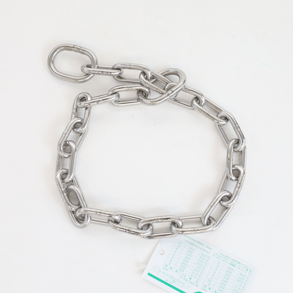 水本 D-018 線径D6 セーフティーチェーン ステンレス 長さ 60cm | あ