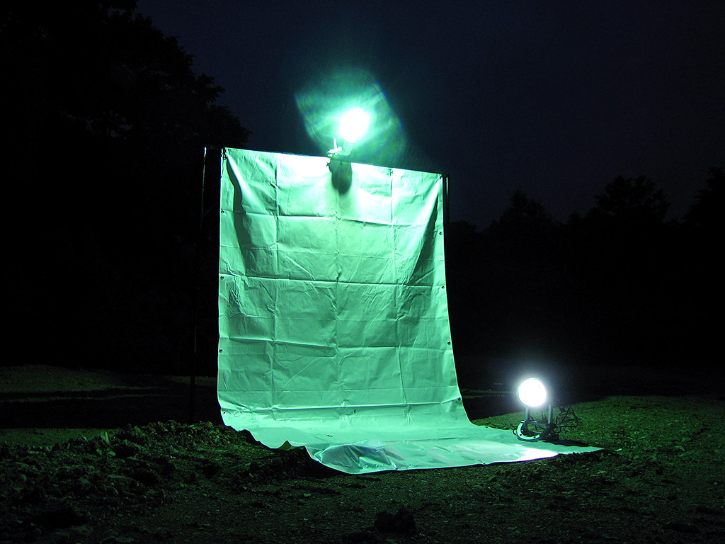 ライトトラップの軌跡 | 夜間飛行