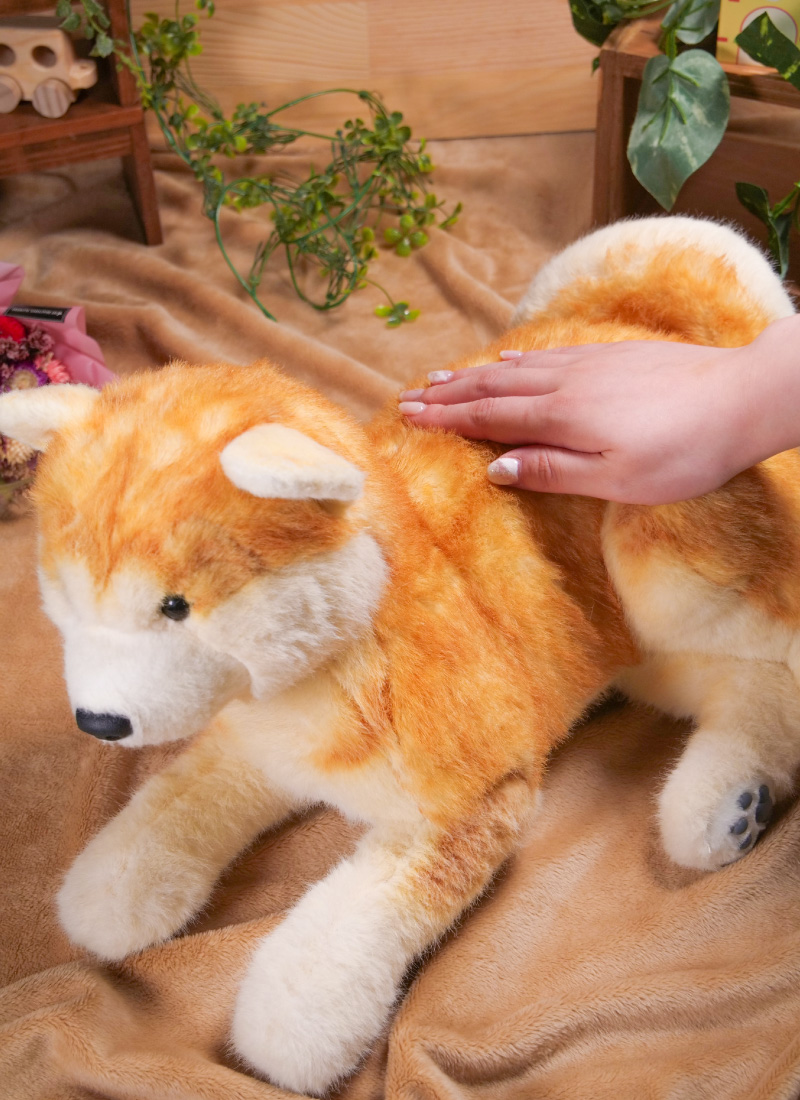 なでなでワンちゃん秋田犬 HACHI‐EX | ハチふる SHIBUYA meets AKITA