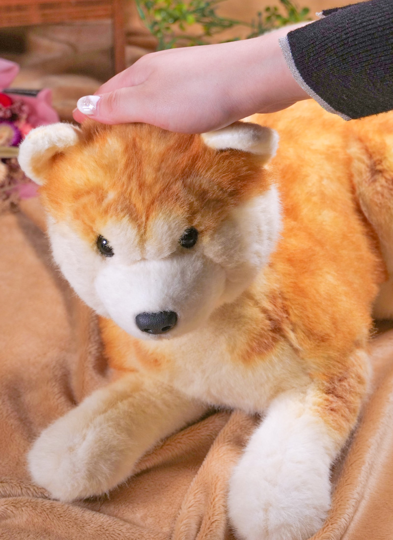 なでなでワンちゃん秋田犬 HACHI‐EX | ハチふる SHIBUYA meets AKITA