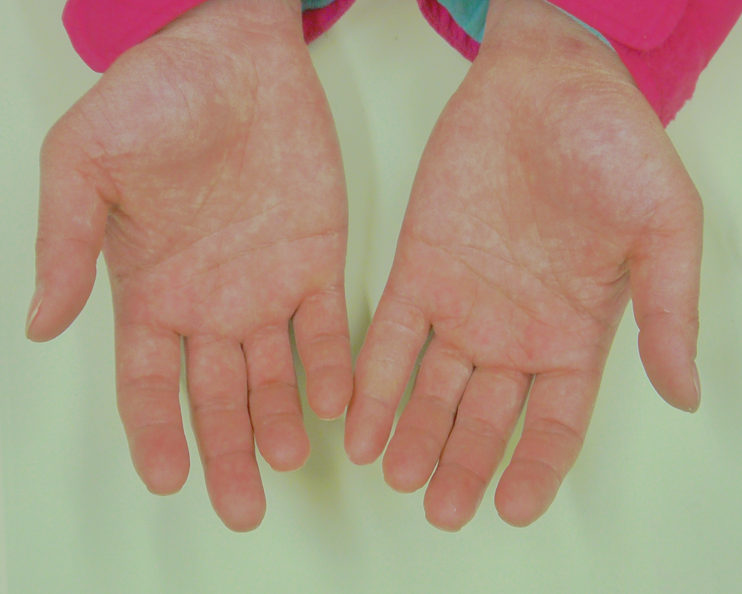 製作事例｜株式会社アヘッドラボラトリーズ