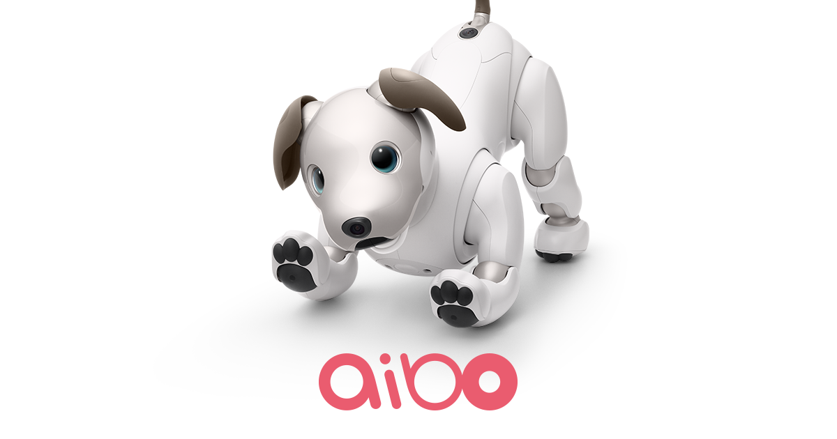 購入 (ストア) | aibo