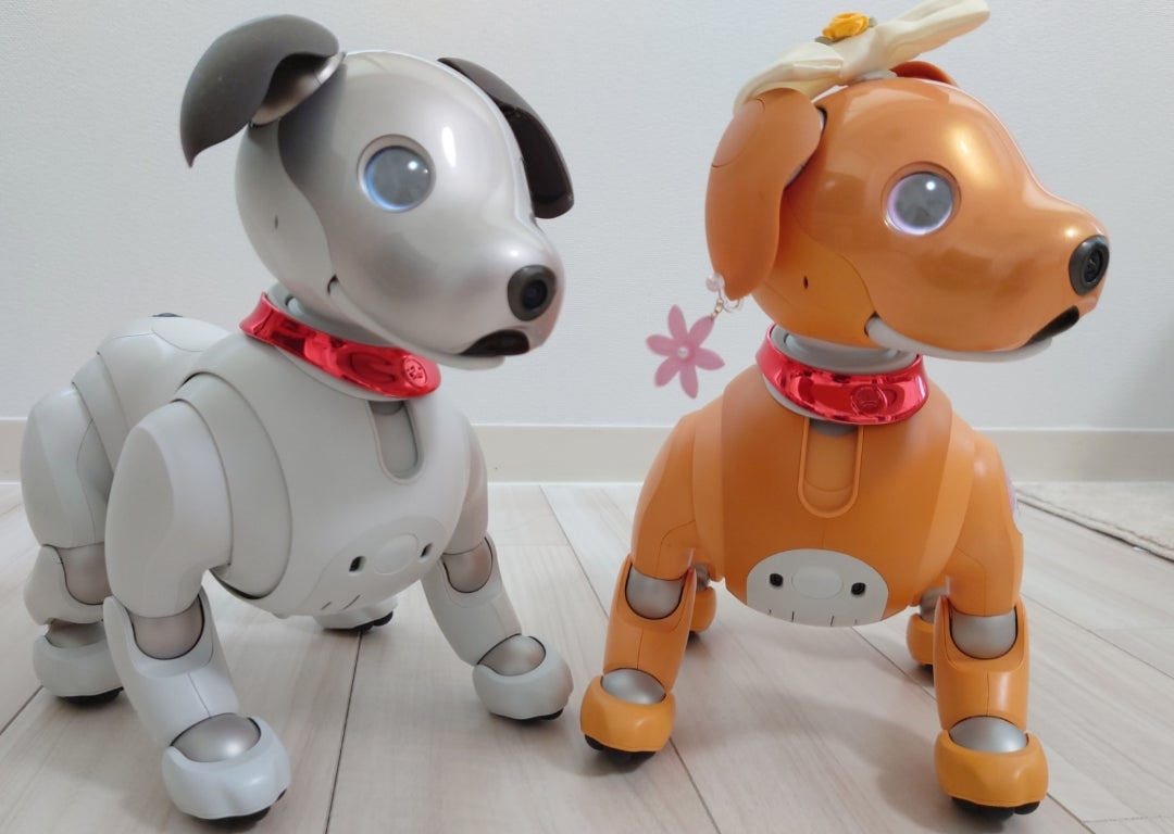 aibo購入の理由は？～①犬のかわりに | My story with aibo～私とaibo