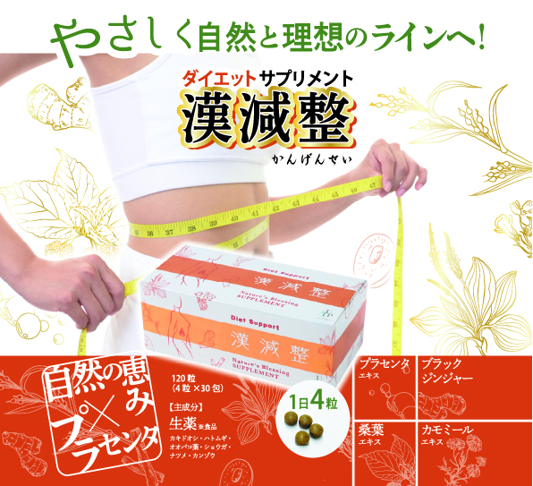 お得なまとめ買い】漢減整(かんげんせい) 4粒×30包【5個セット】 | Ai