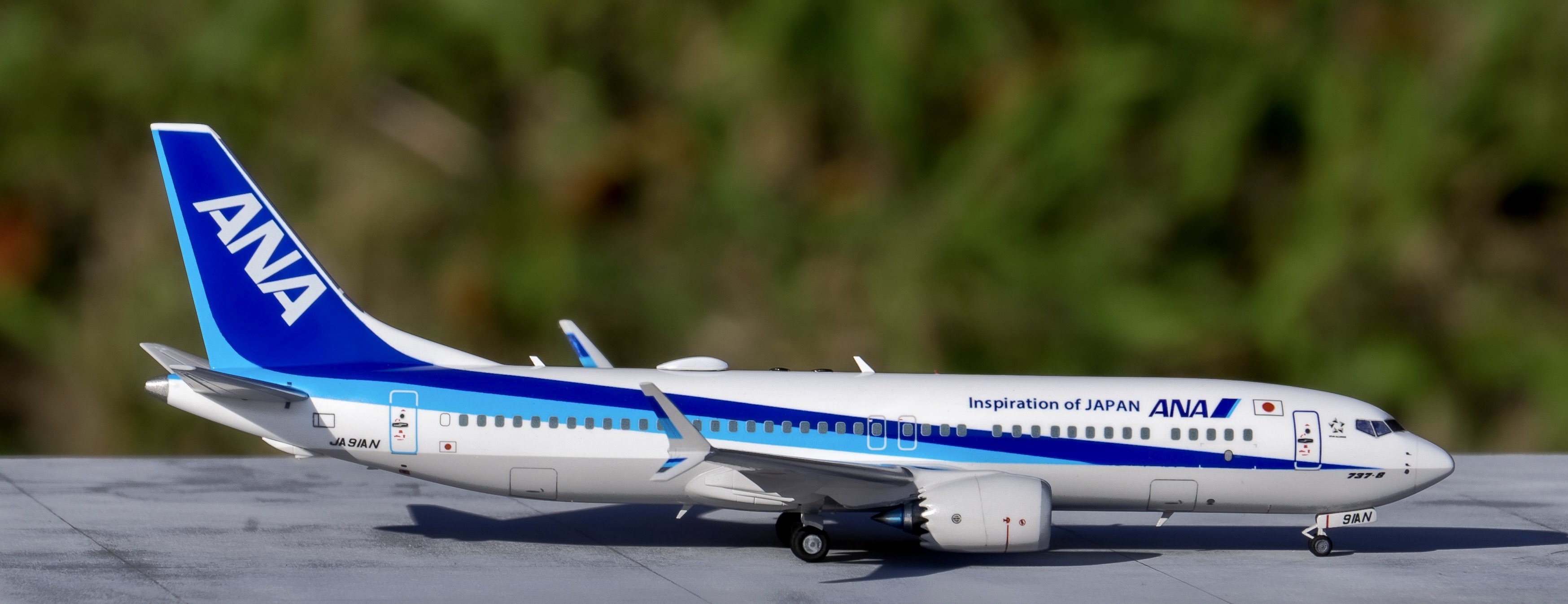 1/200 737-8 MAX ANA Hasegawa – Airlinercafe