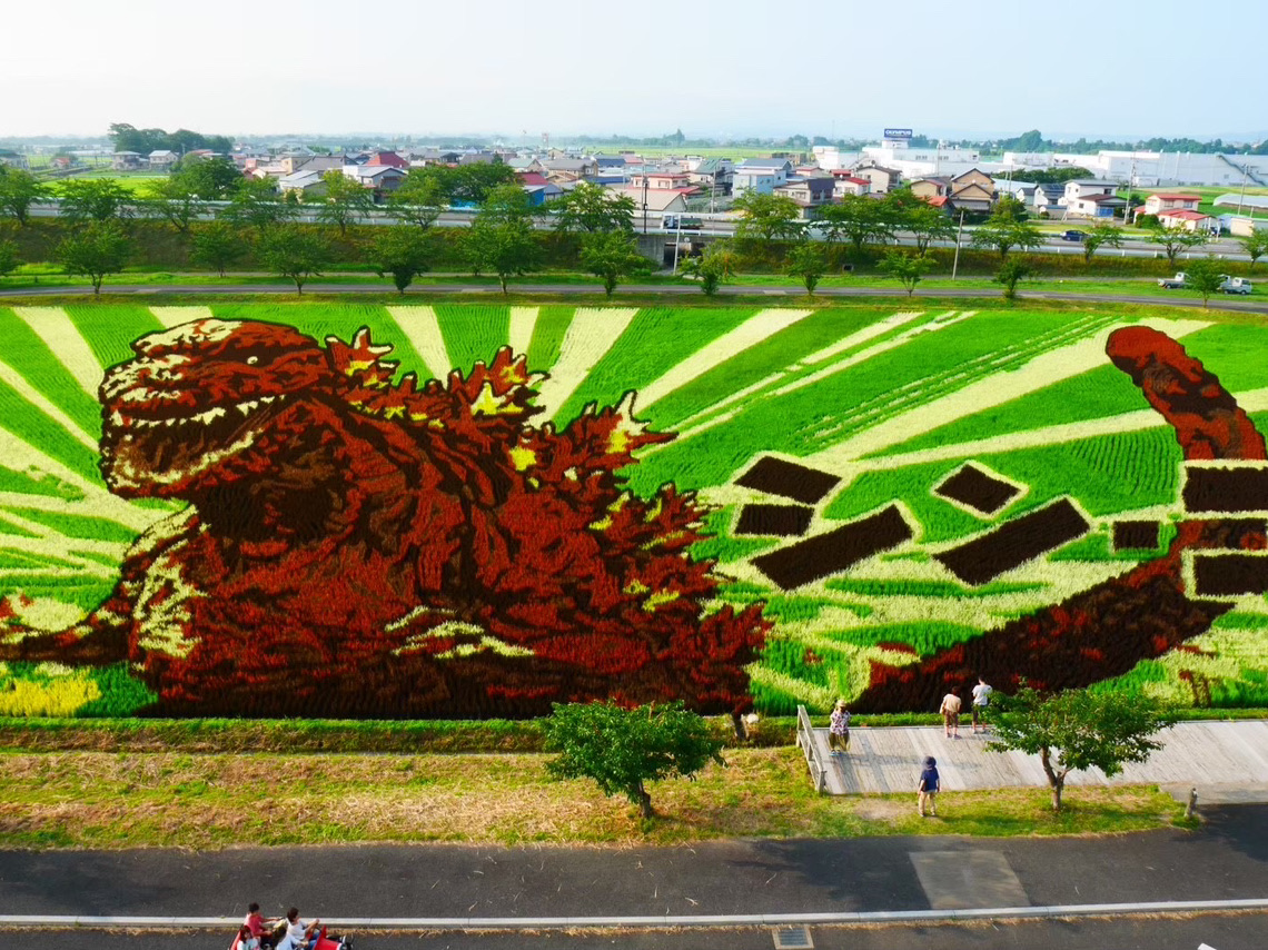 青森/田舎館】必見‼︎田んぼアート | Trip.com 南津軽郡
