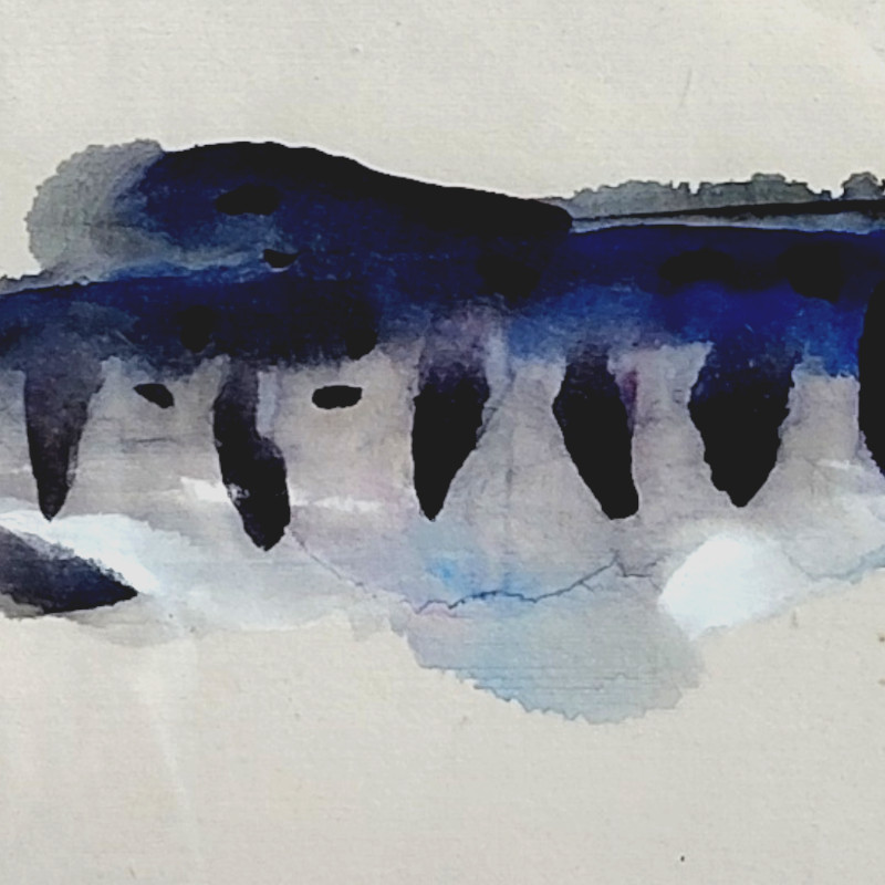 北海道札幌 絵画 販売 蒼い画廊(あおいがろう） 水彩 作品紹介