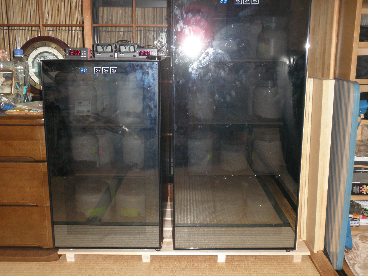 クワガタの幼虫用、ワインセラーの増設