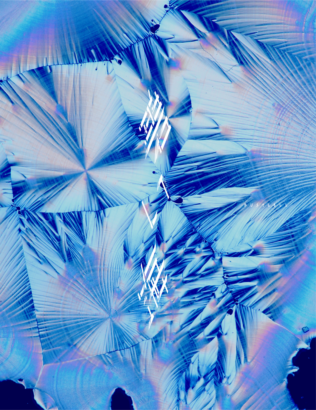 DUSTCELL】4th Album「碧い海」12月10日発売決定 | ALLT STUDIO