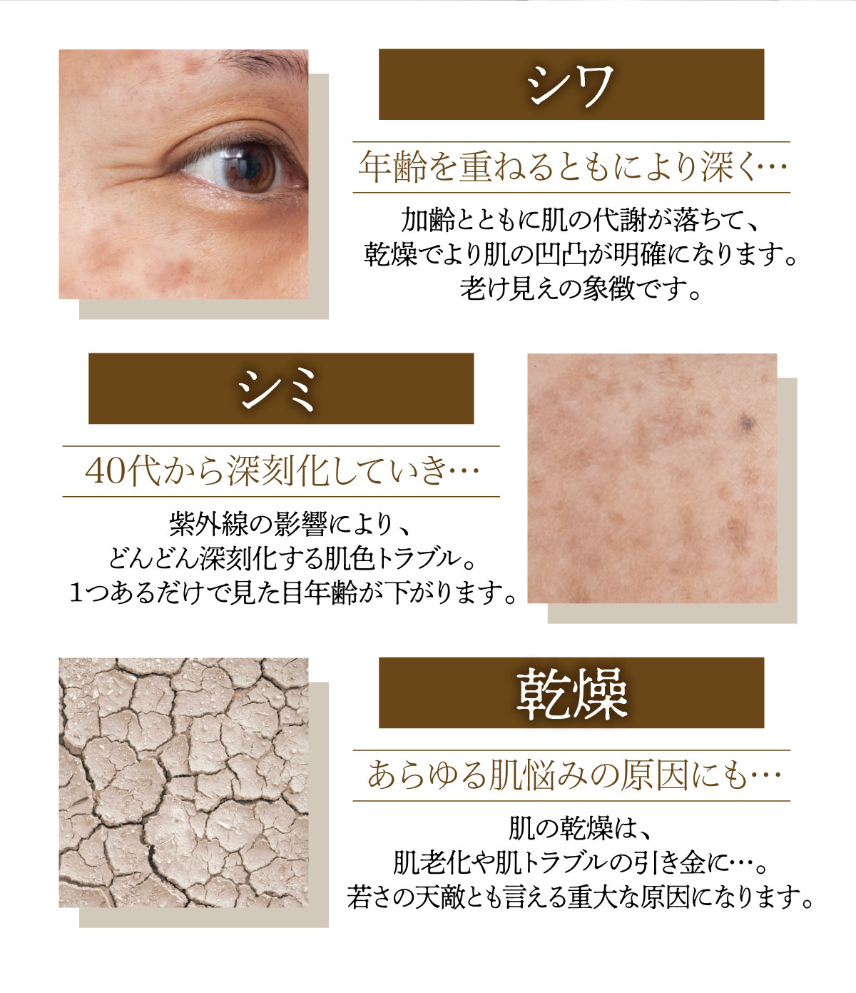 ピュアエーエックスティー ラグジュアリーエッセンス 全商品 アル