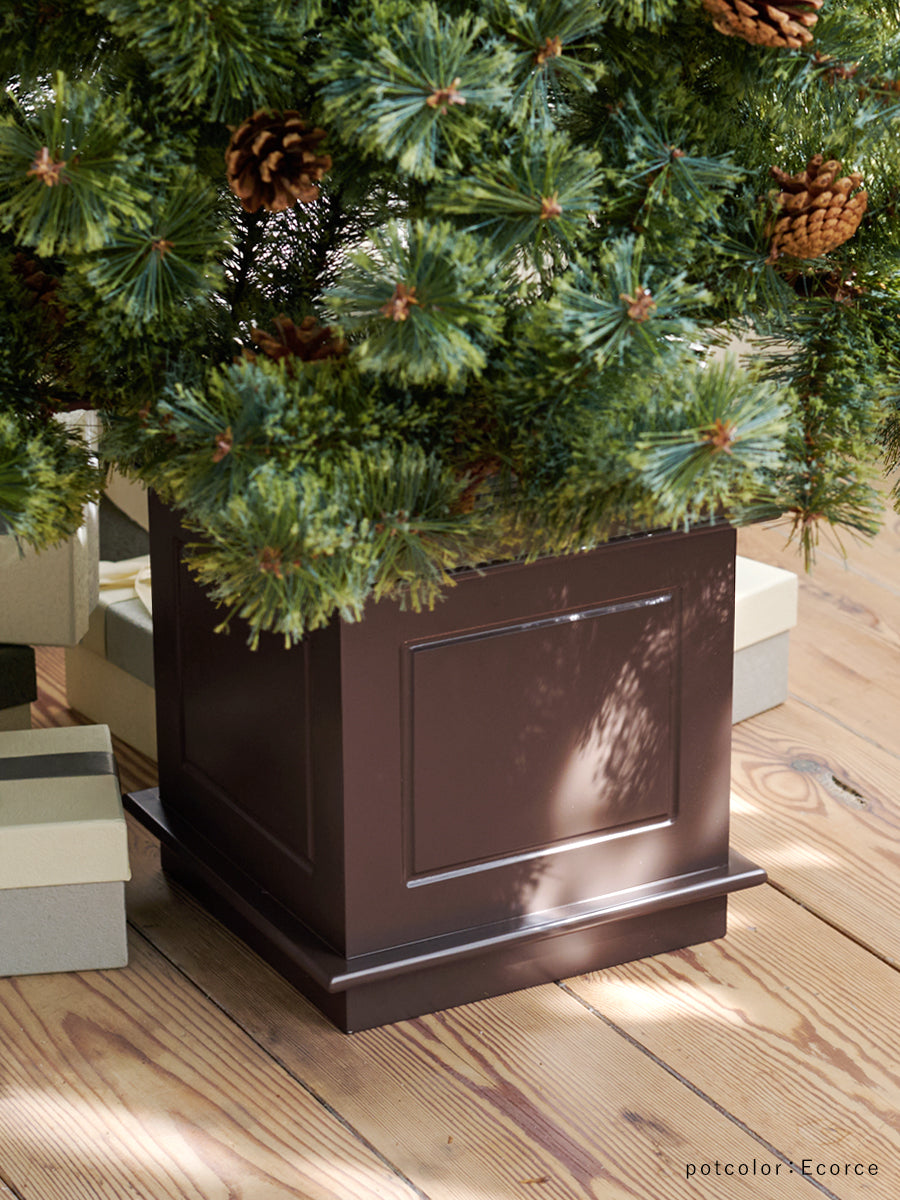 アルザスツリー ポット 樅 – alsace_tree