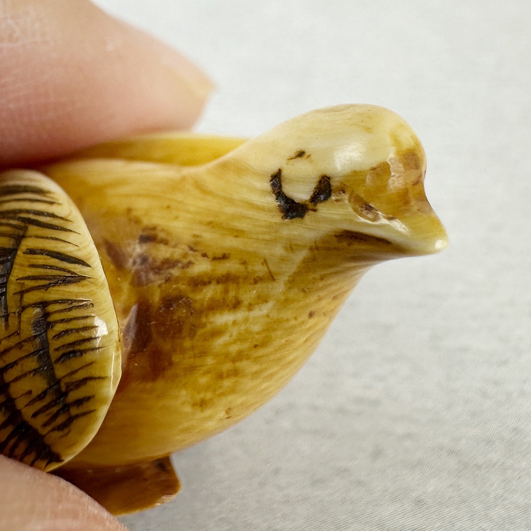 古美術 雨蛙象牙 根付 鶉 明治初期