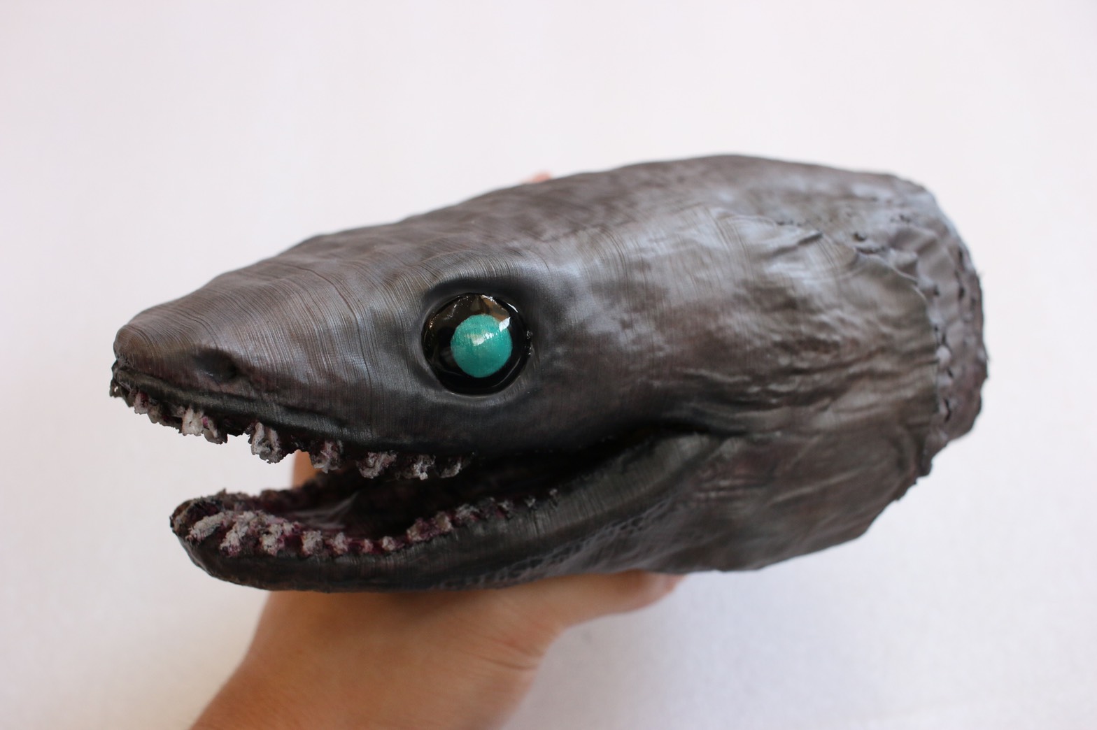 深海のサメで有名な ラブカ の模型を作製しました！ | アンフィ合同