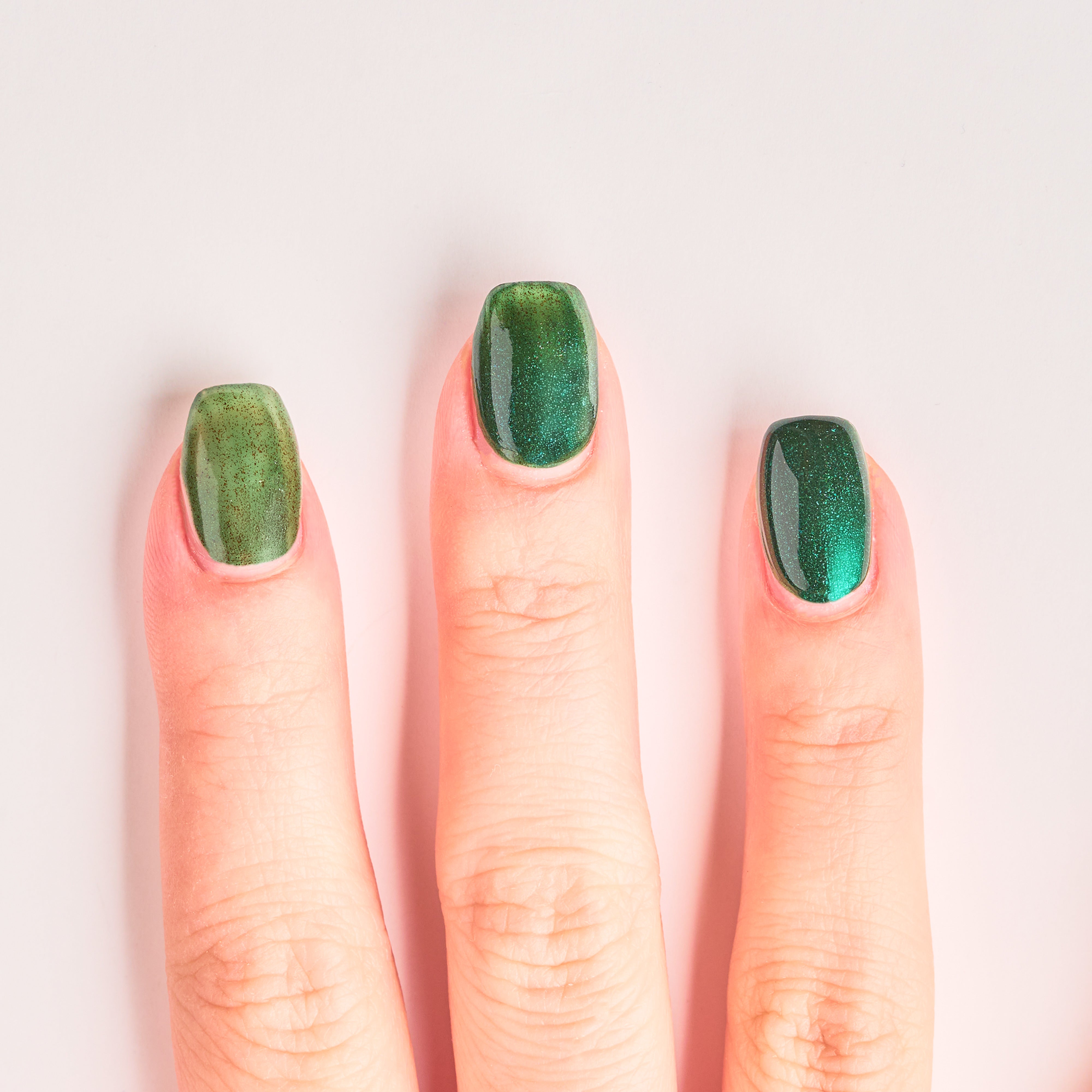 ANNA SUI Official Website